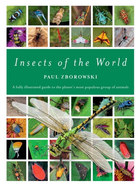 Insects of the World: A fully illustrated guide to the planet's most populous group of animals