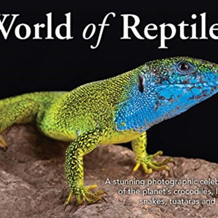 World of Reptiles