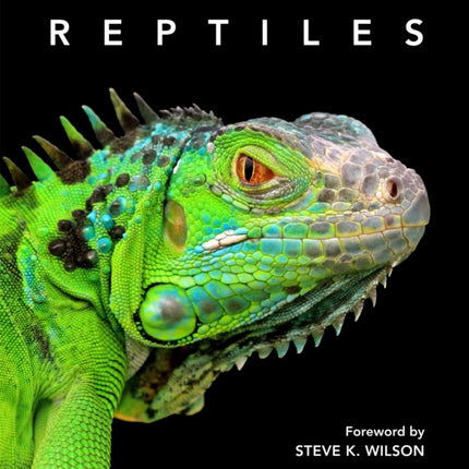 Reptiles: Deluxe Series