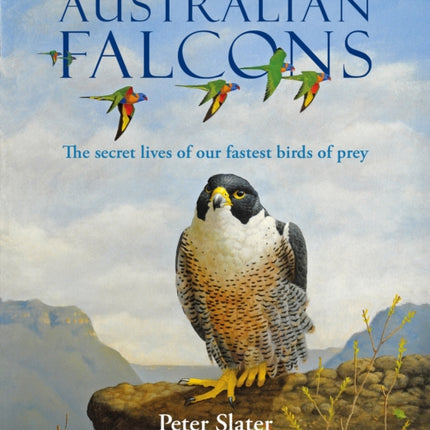 Australian Falcons