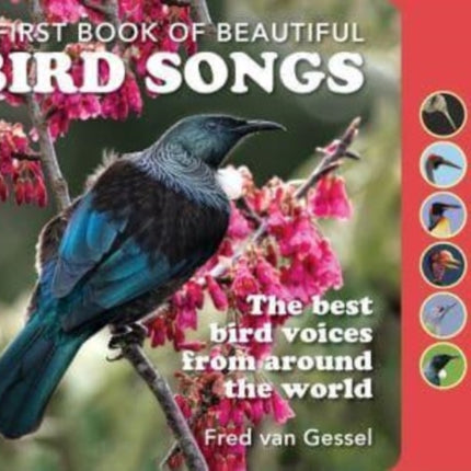 A First Book of Beautiful Bird Songs: The best bird voices from around the world