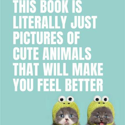 This Book Is Literally Just Pictures of Cute Animals That Will Make You Feel Better