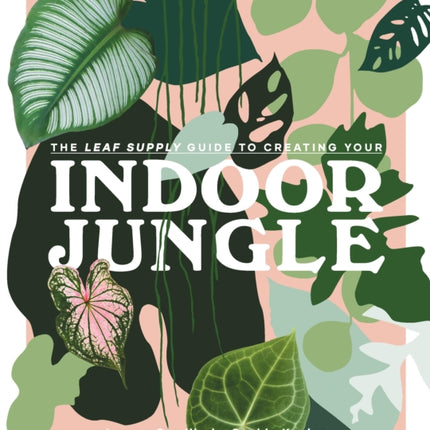 The Leaf Supply Guide to Creating Your Indoor Jungle