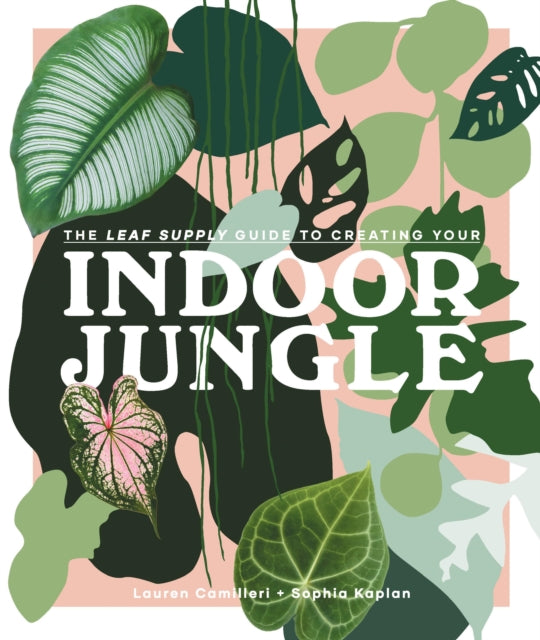 The Leaf Supply Guide to Creating Your Indoor Jungle