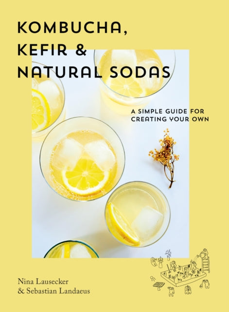 Kombucha Kefir  Natural Sodas