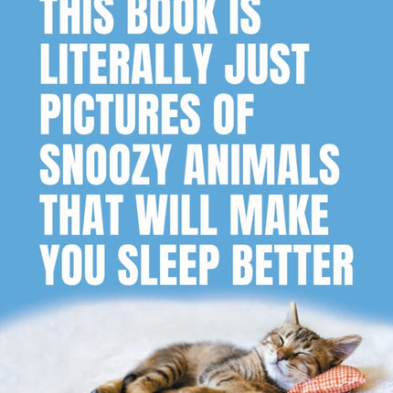 This Book Is Literally Just Pictures of Snoozy