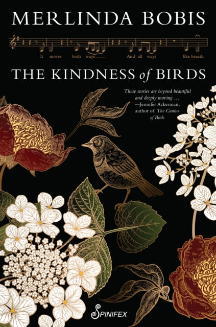 The Kindness of Birds