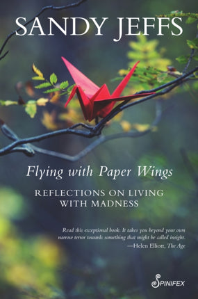 Flying with Paper Wings