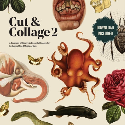Cut and Collage A Treasury of Bizarre and Beautiful Images for Collage and Mixed Media Artists Volume.2