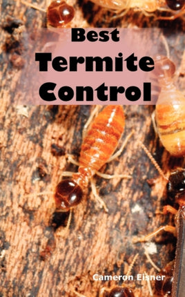 Best Termite Control: All You Need to Know about Termites and How to Get Rid of Them Fast