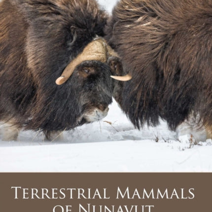 Terrestrial Mammals of Nunavut