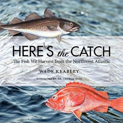 Here's the Catch: The Fish We Harvest from the Northwest Atlantic