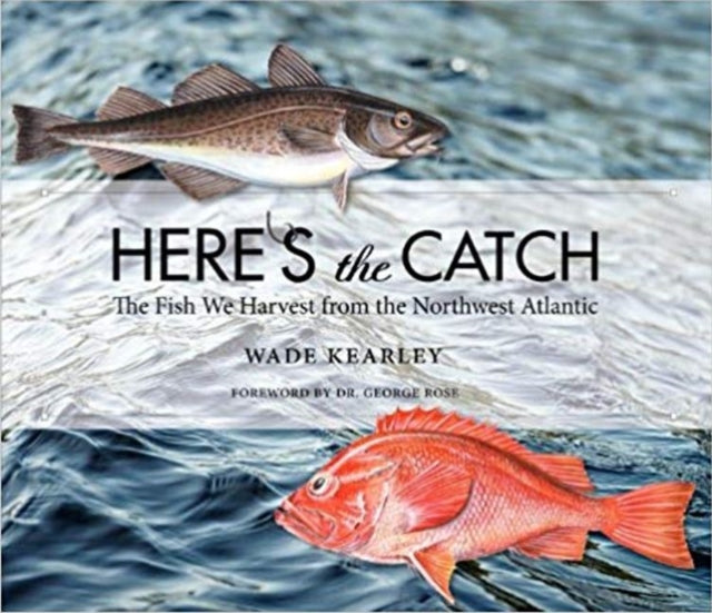 Here's the Catch: The Fish We Harvest from the Northwest Atlantic