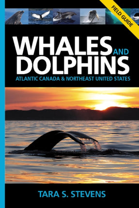 Whales & Dolphins of Atlantic Canada & Northeast United States: Field Guide