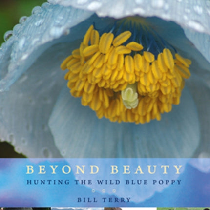 Beyond Beauty: Hunting the Wild Blue Poppy