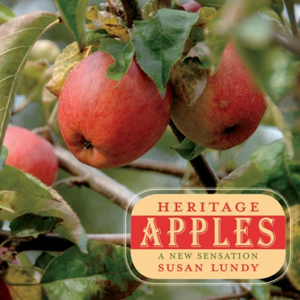 Heritage Apples: A New Sensation