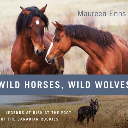 Wild Horses, Wild Wolves: Legends at Risk at the Foot of the Canadian Rockies