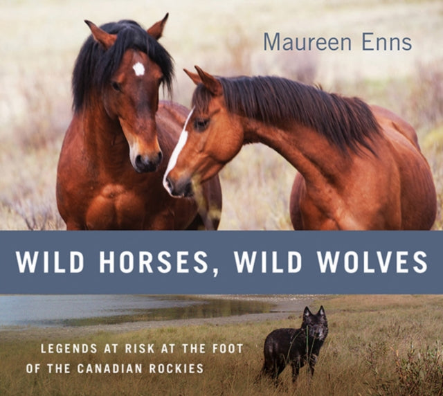 Wild Horses, Wild Wolves: Legends at Risk at the Foot of the Canadian Rockies