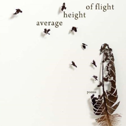 Average Height of Flight