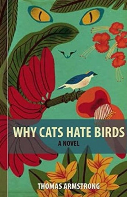 Why Cats Hate Birds