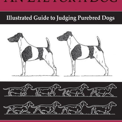 An Eye for a Dog: Illustrated Guide to Judging Purebred Dogs