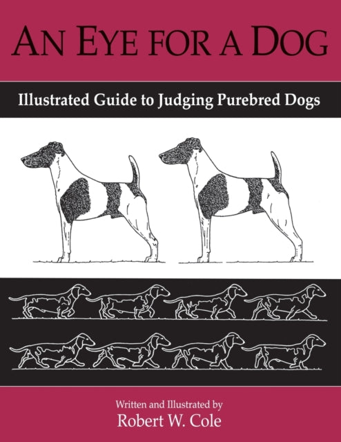 An Eye for a Dog: Illustrated Guide to Judging Purebred Dogs