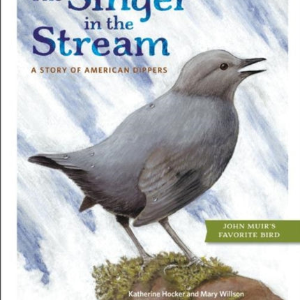 The Singer in the Stream: A Story of American Dippers