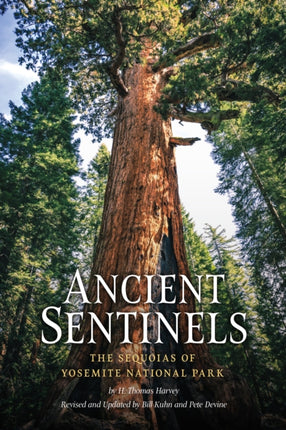 Ancient Sentinels: The Sequoias of Yosemite National Park