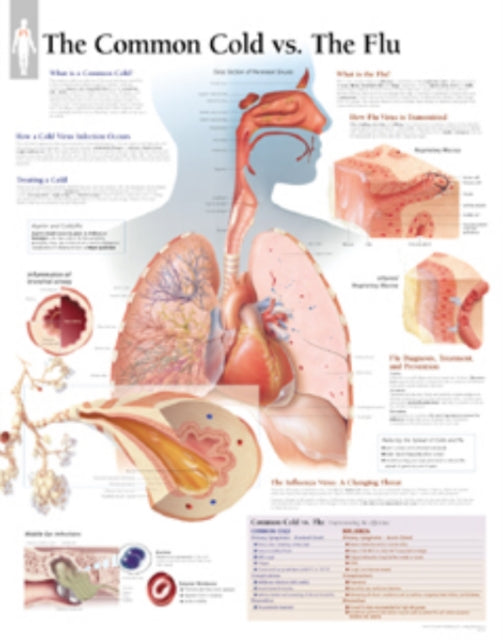 Understanding the Common Cold Paper Poster