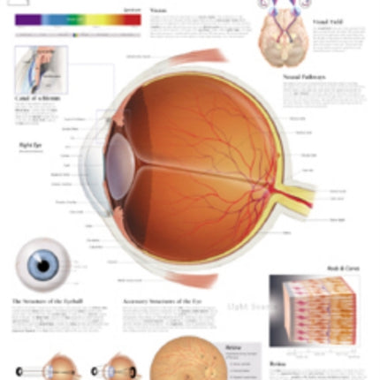 Eye Laminated Poster