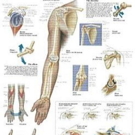 Understanding the Shoulder & Elbow Paper Poster