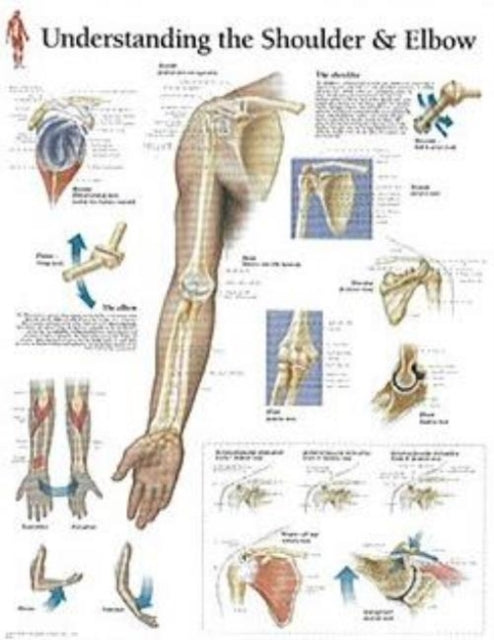 Understanding the Shoulder & Elbow Paper Poster