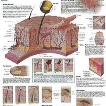 Understanding Skin Paper Poster