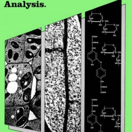The Growing Plant Cell Wall: Chemical and Metabolic Analysis