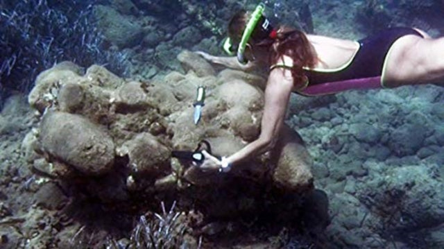 The Minoan Shipwreck at Pseira, Crete