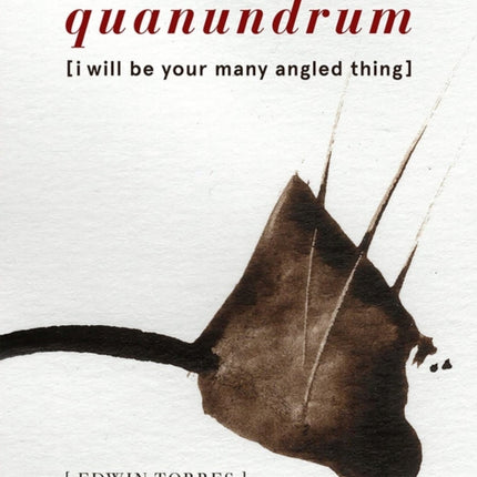 Quanundrum: [I Will Be Your Many Angled Thing]