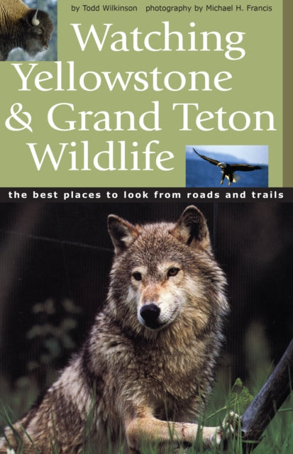 Watching Yellowstone and Grand Teton Wildlife