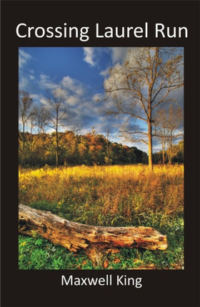 Crossing Laurel Run