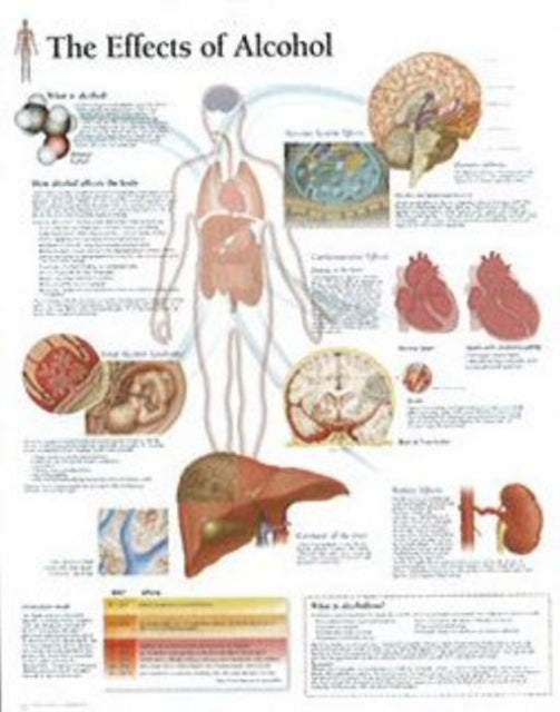 Effects of Alcohol Paper Poster