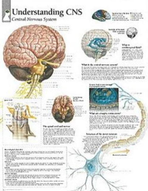 Understanding CNS Paper Poster