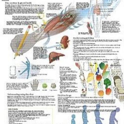 Understanding Nutrition Laminated Poster