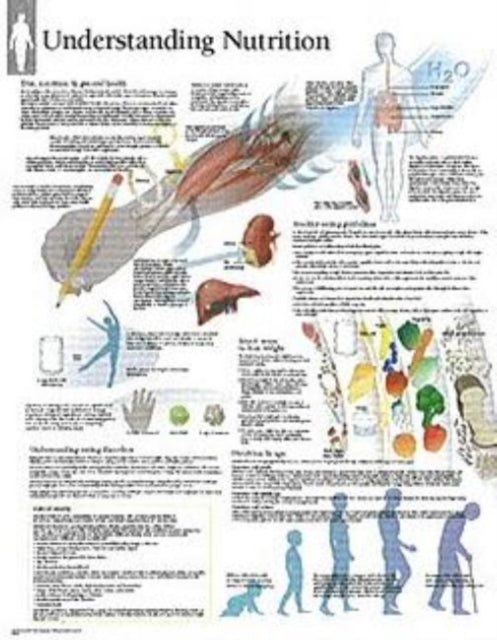 Understanding Nutrition Paper Poster