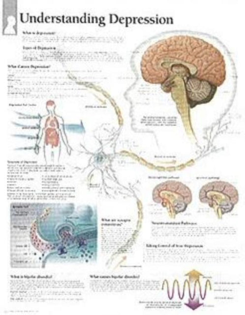 Understanding Depression Paper Poster