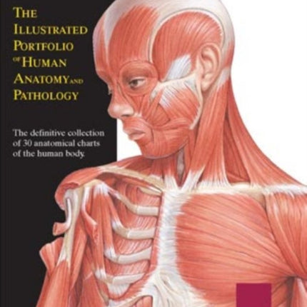 Illustrated Portfolio of Human Anatomy & Pathology, 2nd Edition: The Definitive Collection of 30 Anatomical Charts of the Human Body