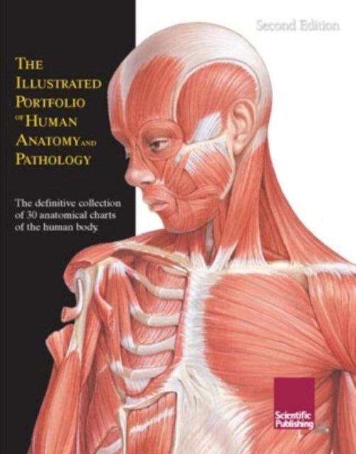 Illustrated Portfolio of Human Anatomy & Pathology, 2nd Edition: The Definitive Collection of 30 Anatomical Charts of the Human Body