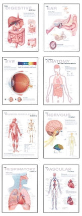 Human Anatomy Chart Pack