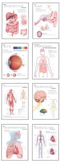 Human Anatomy Chart Pack