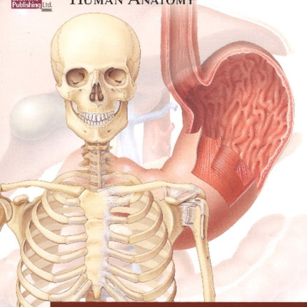 Illustrated Atlas of Human Anatomy: A Collection of 25 Anatomical Charts of the Human Body