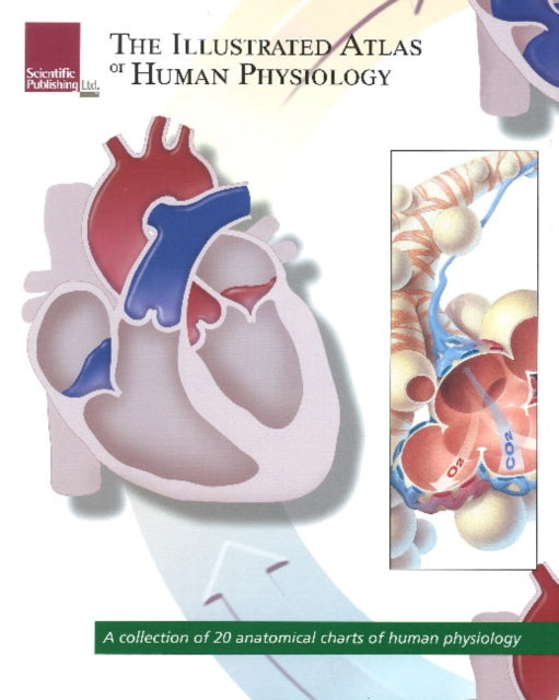 Illustrated Atlas of Human Physiology: A Collection of 20 Anatomical Charts of Human Physiology