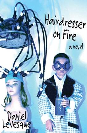 Hairdresser On Fire: A Novel